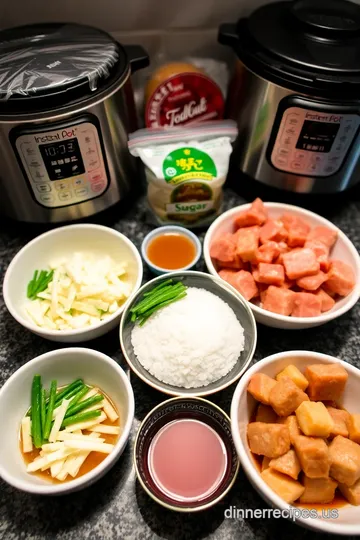 Instant Pot Chinese Braised Pork Belly (红烧肉) ingredients